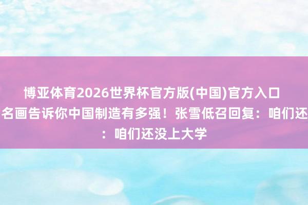 博亚体育2026世界杯官方版(中国)官方入口 两幅宇宙名画告诉你中国制造有多强!张雪低召回复:咱们还没上大学