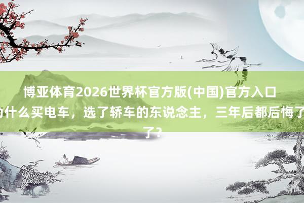 博亚体育2026世界杯官方版(中国)官方入口 为什么买电车,选了轿车的东说念主,三年后都后悔了?