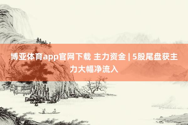 博亚体育app官网下载 主力资金 | 5股尾盘获主力大幅净流入