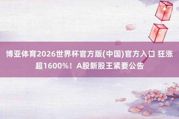 博亚体育2026世界杯官方版(中国)官方入口 狂涨超1600%!A股新股王紧要公告