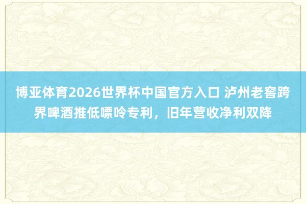博亚体育2026世界杯中国官方入口 泸州老窖跨界啤酒推低嘌呤专利,旧年营收净利双降
