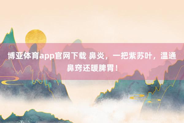 博亚体育app官网下载 鼻炎,一把紫苏叶,温通鼻窍还暖脾胃!