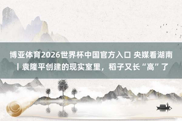 博亚体育2026世界杯中国官方入口 央媒看湖南丨袁隆平创建的现实室里,稻子又长“高”了