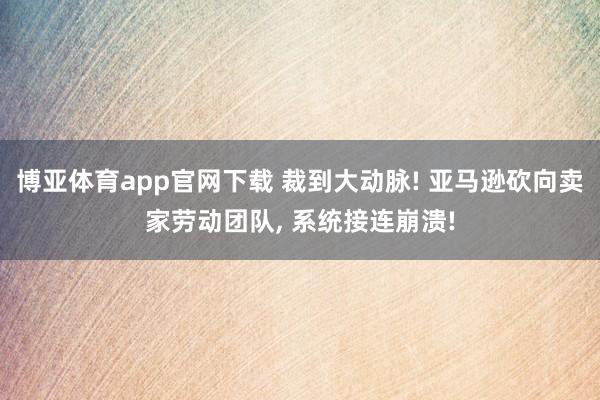 博亚体育app官网下载 裁到大动脉! 亚马逊砍向卖家劳动团队， 系统接连崩溃!