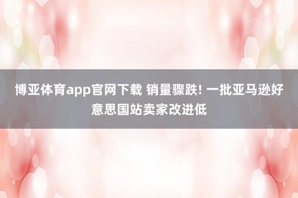 博亚体育app官网下载 销量骤跌! 一批亚马逊好意思国站卖家改进低