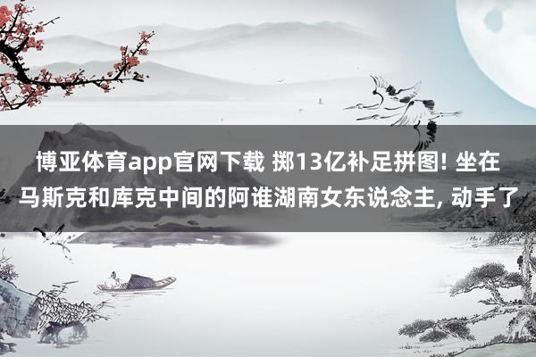 博亚体育app官网下载 掷13亿补足拼图! 坐在马斯克和库克中间的阿谁湖南女东说念主, 动手了