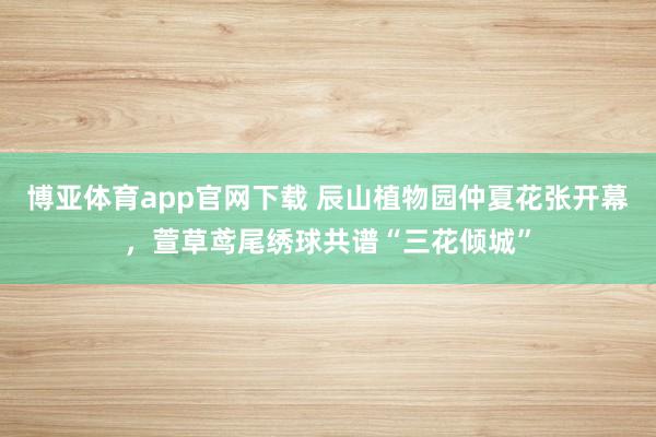 博亚体育app官网下载 辰山植物园仲夏花张开幕,萱草鸢尾绣球共谱“三花倾城”