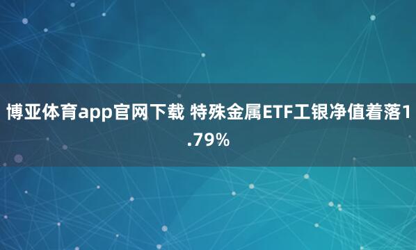 博亚体育app官网下载 特殊金属ETF工银净值着落1.79%
