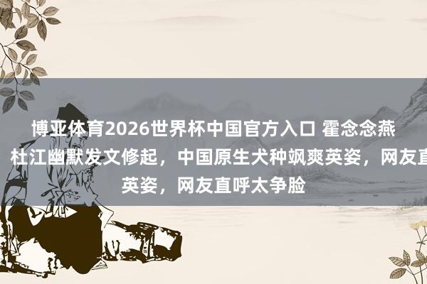 博亚体育2026世界杯中国官方入口 霍念念燕再传喜信!杜江幽默发文修起,中国原生犬种飒爽英姿,网友直呼太争脸