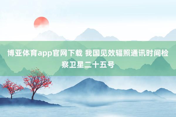 博亚体育app官网下载 我国见效辐照通讯时间检察卫星二十五号