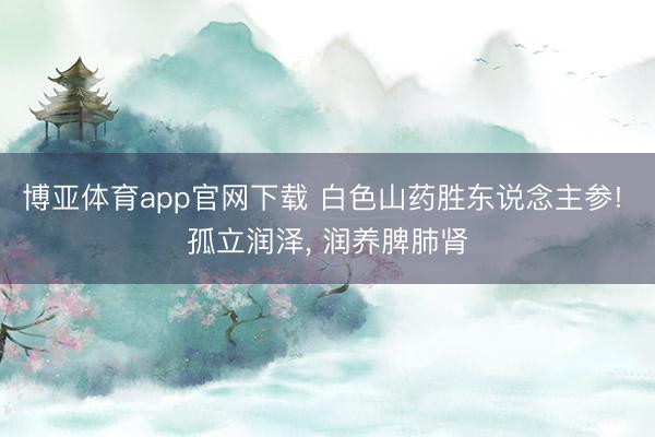 博亚体育app官网下载 白色山药胜东说念主参! 孤立润泽, 润养脾肺肾